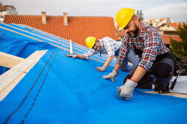 Best Storm Damage Roof Repair  in Severance, CO