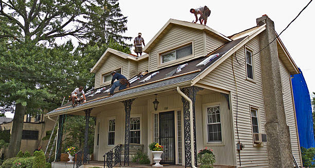 Best Roof Maintenance Services  in Severance, CO