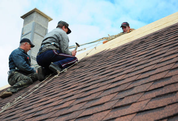 Quick and Trustworthy Emergency Roof Repair Services in Severance, CO