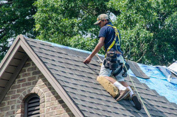 Trusted Severance, CO Roofing Contractor Experts